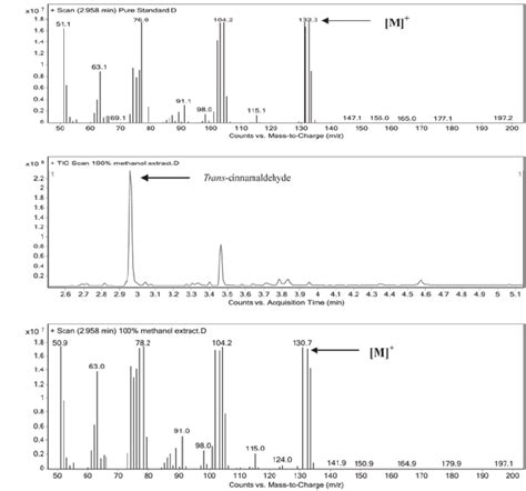 how to interpret gcms results|Lab 5: Gas Chromatography/Mass Spectrometry .